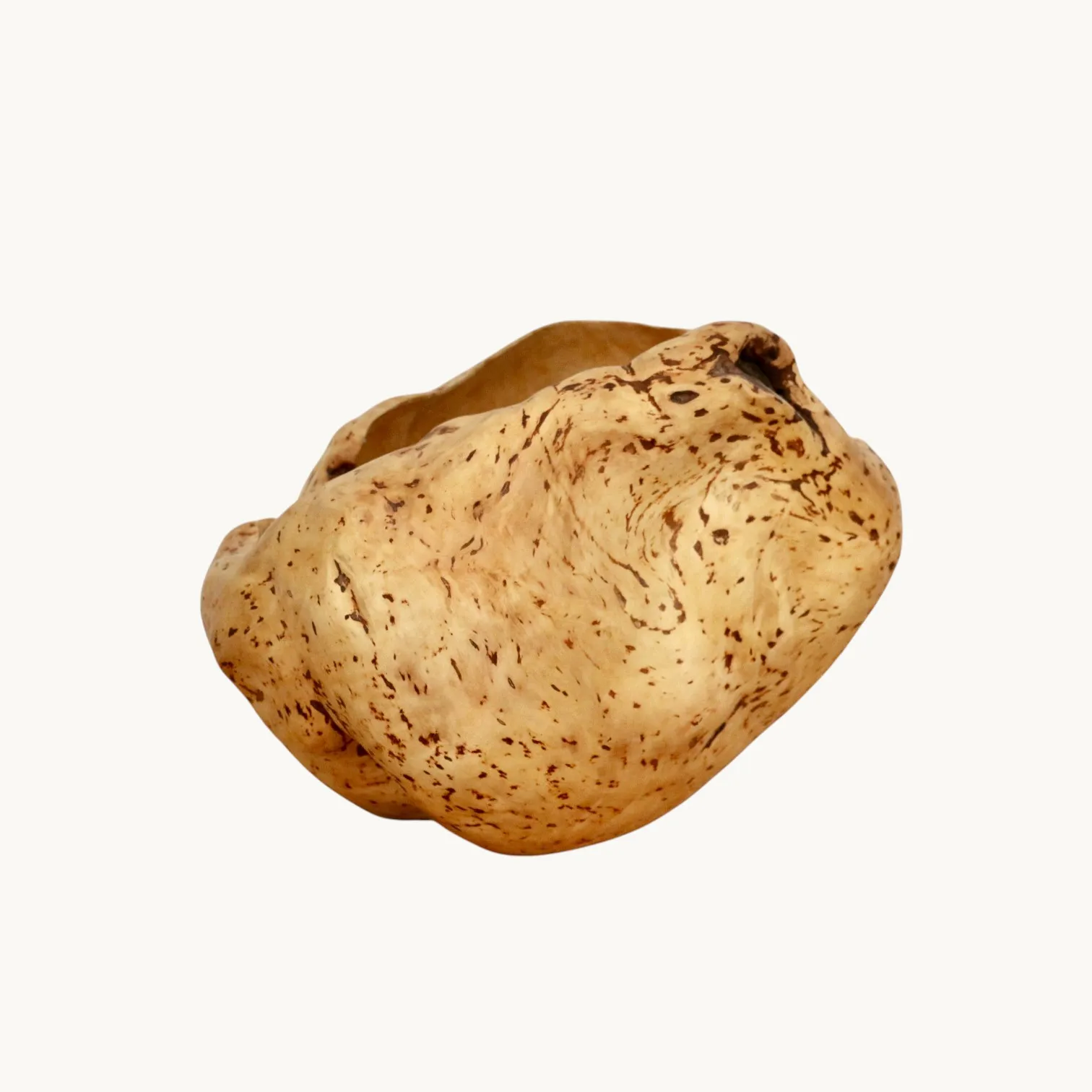 Une loupe d'Orme, Suède années 70. image 2